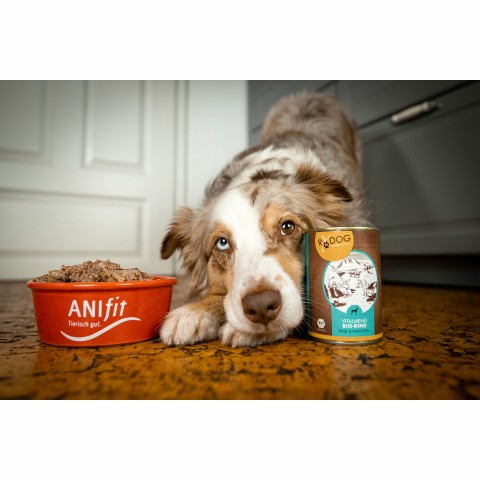 Hund Hundefutter Nassfutter RyDog Vitalmenü Bio-Rind 800g 6 Stück -6- Anifit