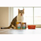 Katze Nassfutter RyCat Bio-Ente 400g 6 Stück -3- Anifit