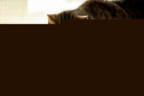 Hund Katze B.A.R.F. Hundefutter Nahrungsergänzungen Snacks Fleisch-Gewürz 20g 1 Stück -5- Anifit